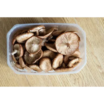 Frozen Mushrum (18)-7211749-41525.webp